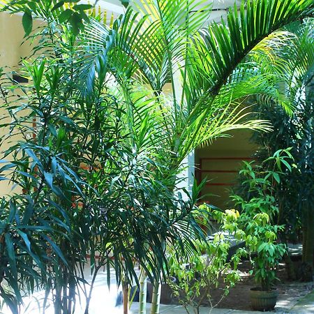 Three V Homestay Kuta  Eksteriør billede