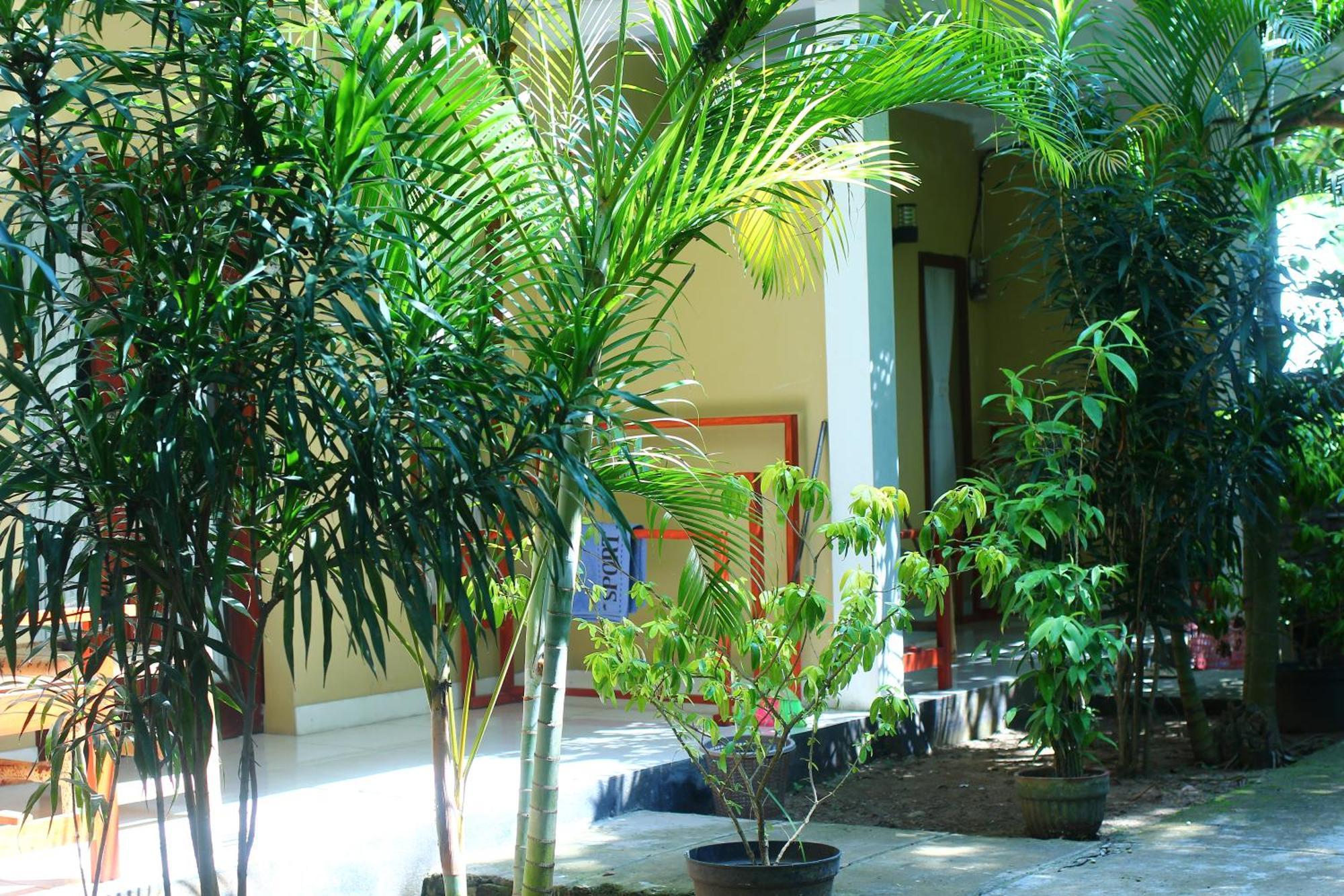 Three V Homestay Kuta  Eksteriør billede