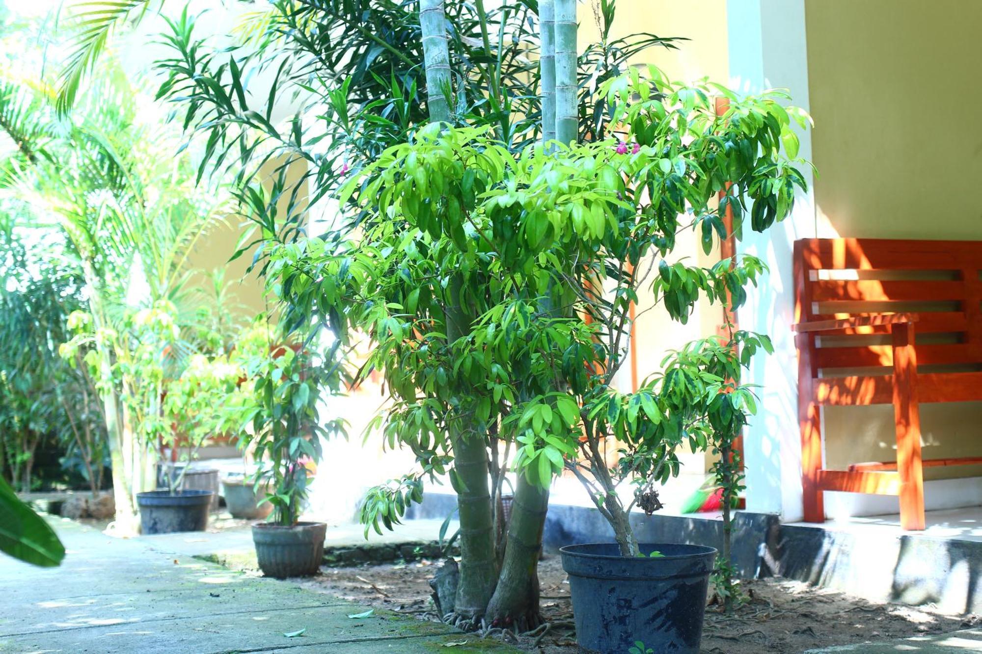 Three V Homestay Kuta  Eksteriør billede